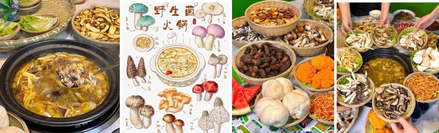 HÀ NỘI - HÀ KHẨU - CÔN MINH- ĐẠI LÝ - LỆ GIANG - Ảnh 4