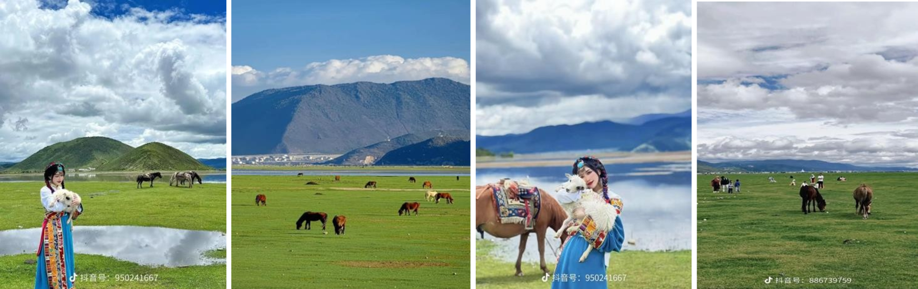 HÀ NỘI - HÀ KHẨU - CÔN MINH- ĐẠI LÝ - LỆ GIANG - SHANGRILA - Ảnh 14