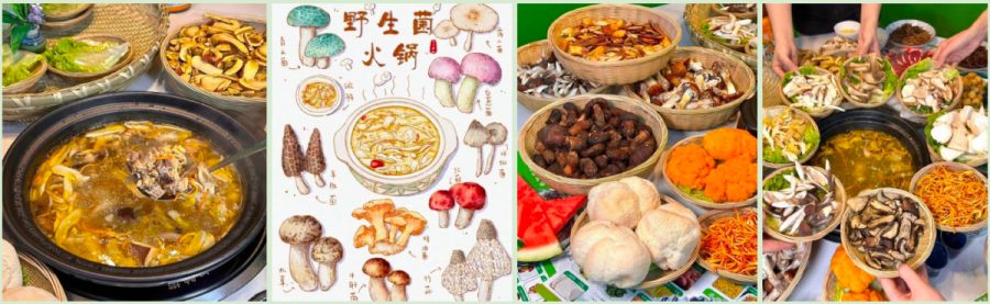 HÀ NỘI -HÀ KHẨU - CÔN MINH- ĐẠI LÝ - Ảnh 5